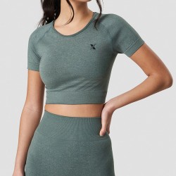 Yoga Running Seamless Cropped T-shirt For Women